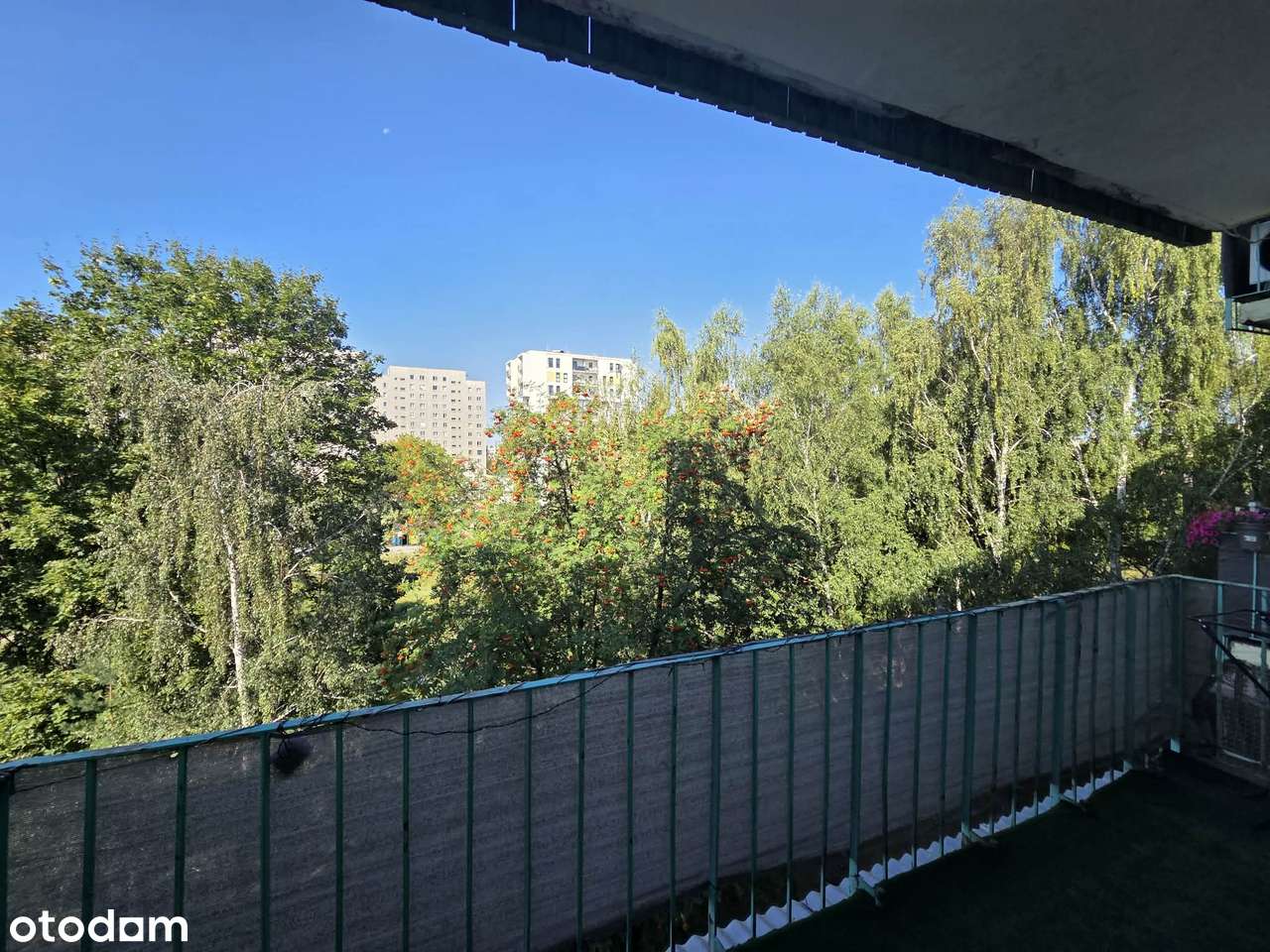 Polecam! Mieszkanie trzypokojowe z loggią, os Wschód-17