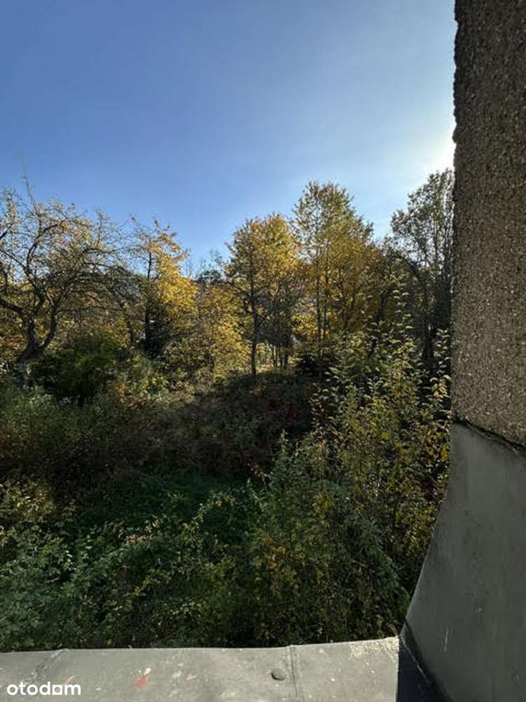 willa z 1920r. 248m2, działka 927m2 - Jelenia Góra Centrum-19