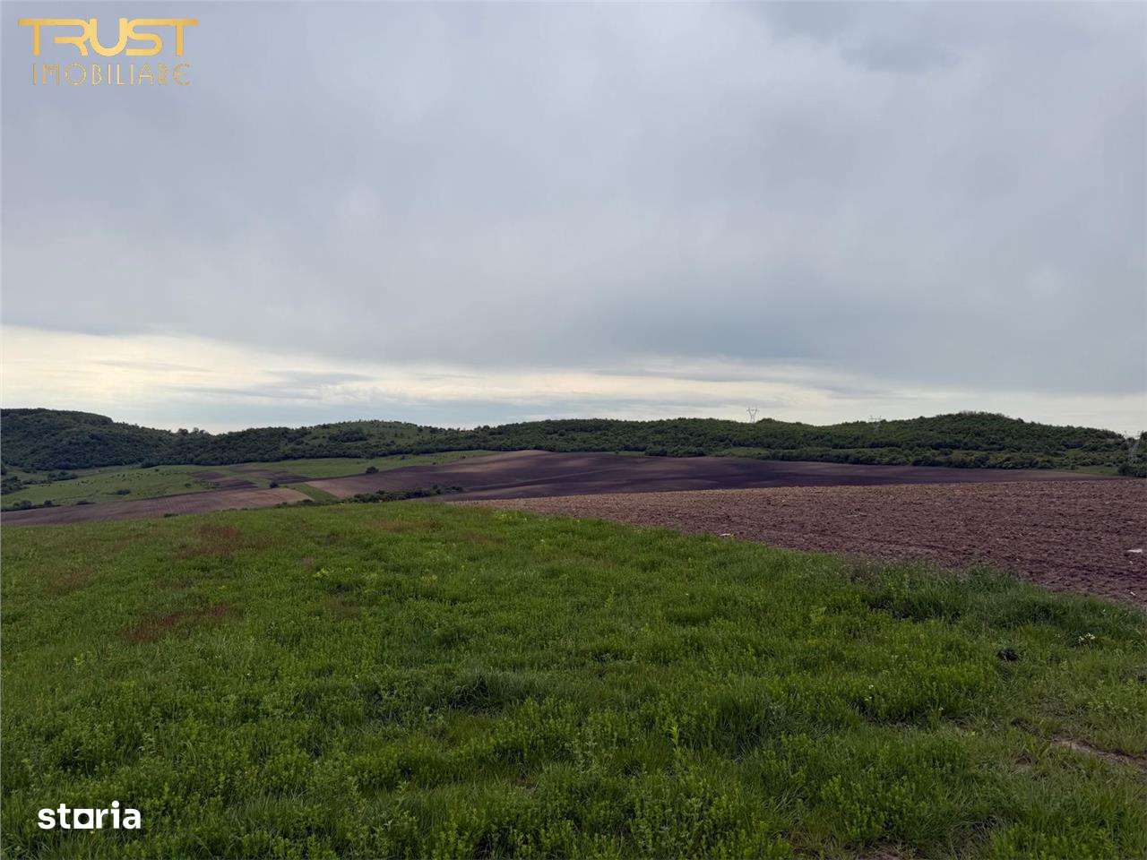 Teren intravilan de vanzare l 7500 MP l Aschileu Mare - Imagine principală: 3/8