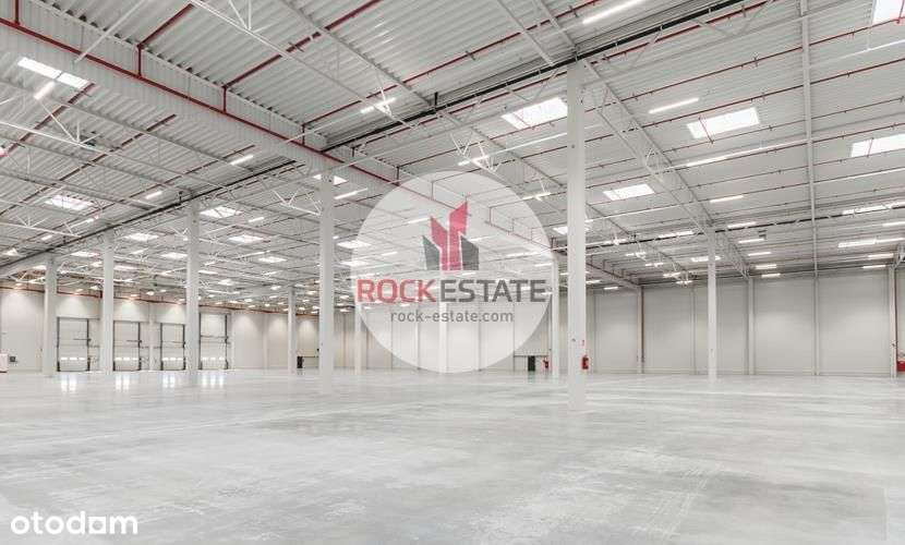 Magazyn 1694 m2 na wynajem od zaraz -0% prowizji - Pełny obrazek: 5/5