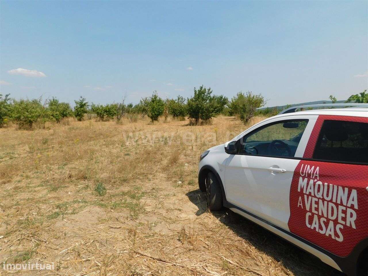 Terreno Rústico / Fundão, Donas - Grande imagem: 4/6