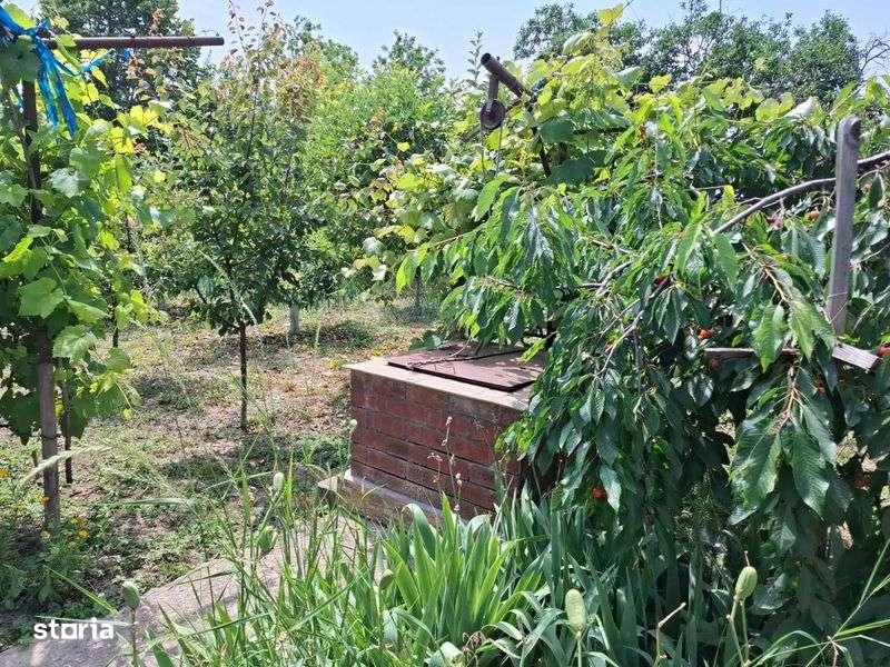 Vand proprietate in comuna Nanesti, Vrancea - Imagine principală: 5/8