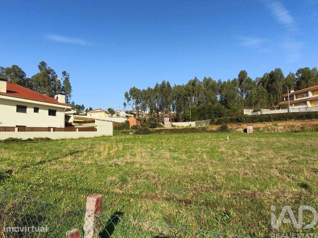 Terreno em Canedo, Vale e Vila Maior de 2893,00 m2 - Grande imagem: 4/17