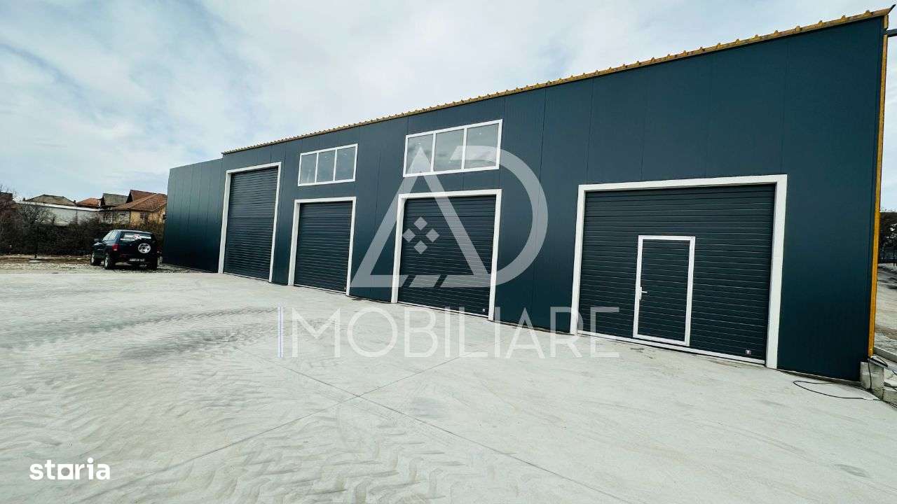 Hală nouă de închiriat / Calea București - Imagine principală: 3/9