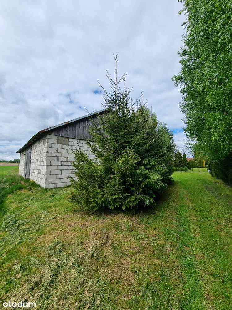 Działka, 79 000 m², Henrykowo-1