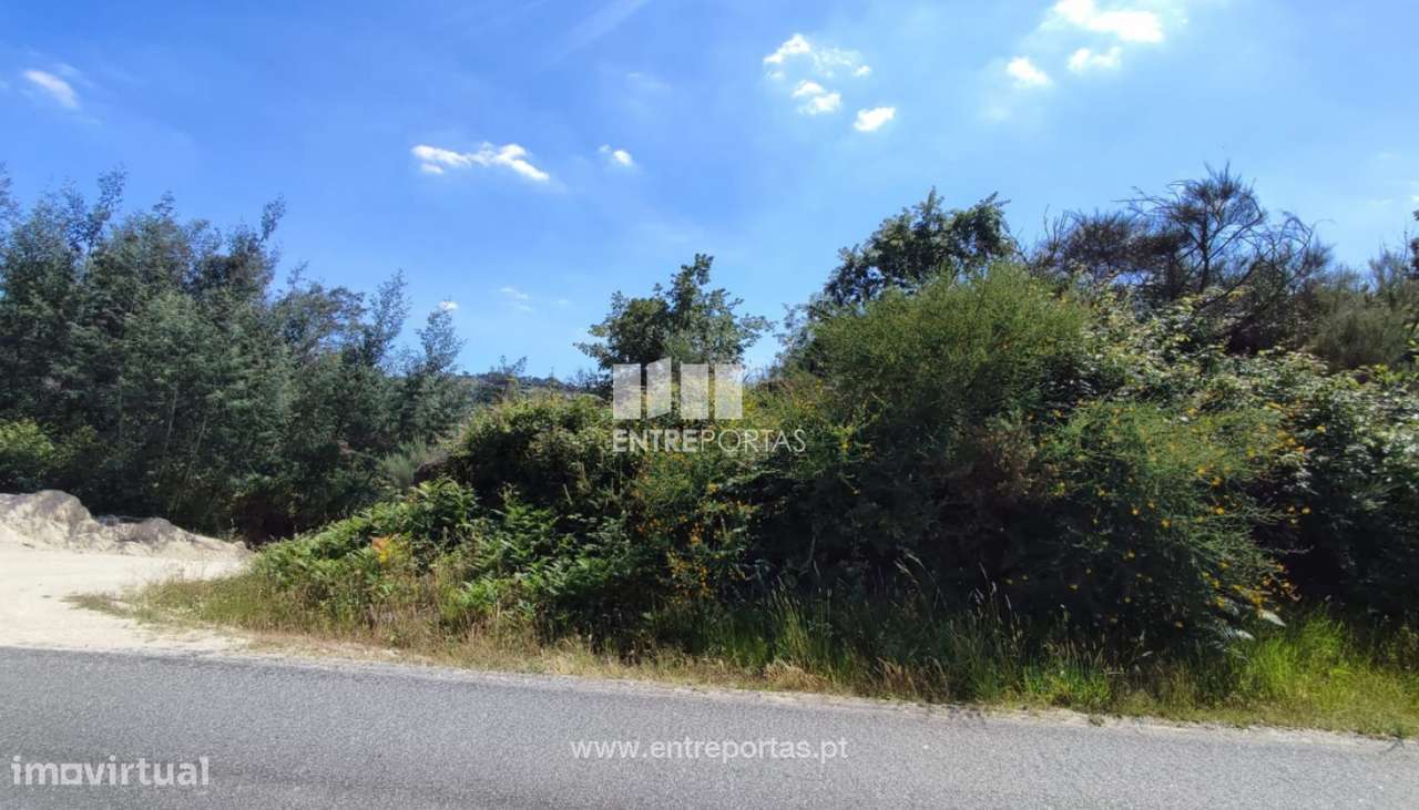 Venda Terreno com 1772m2, Soalhães, Marco de Canaveses - Grande imagem: 2/31