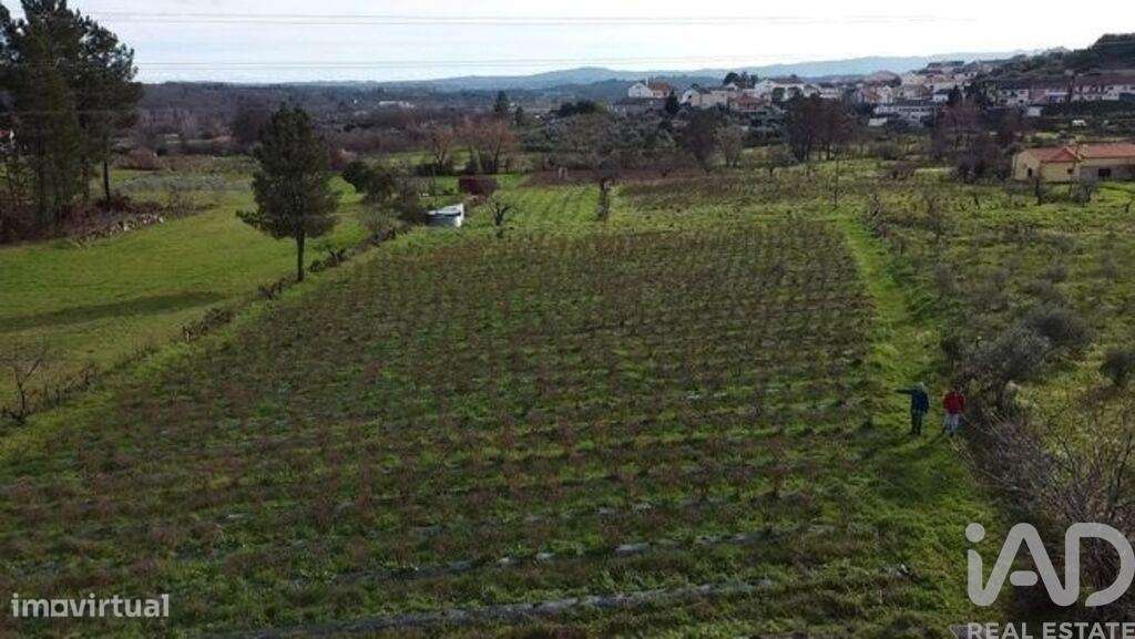 Terreno Agrícola em Orjais de 13681,00 m2 - Grande imagem: 2/28