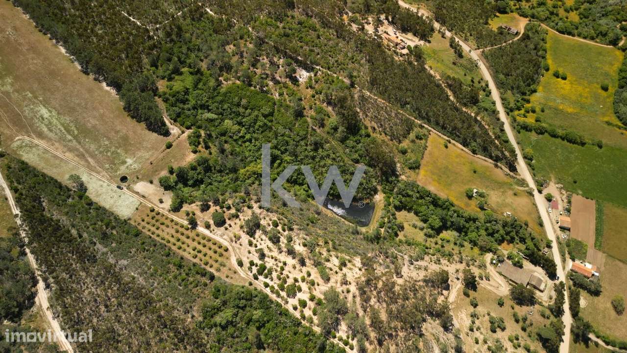 Casa de Campo tipicamente portuguesa com 20 hectares - Pedralva, Vila - Grande imagem: 4/51