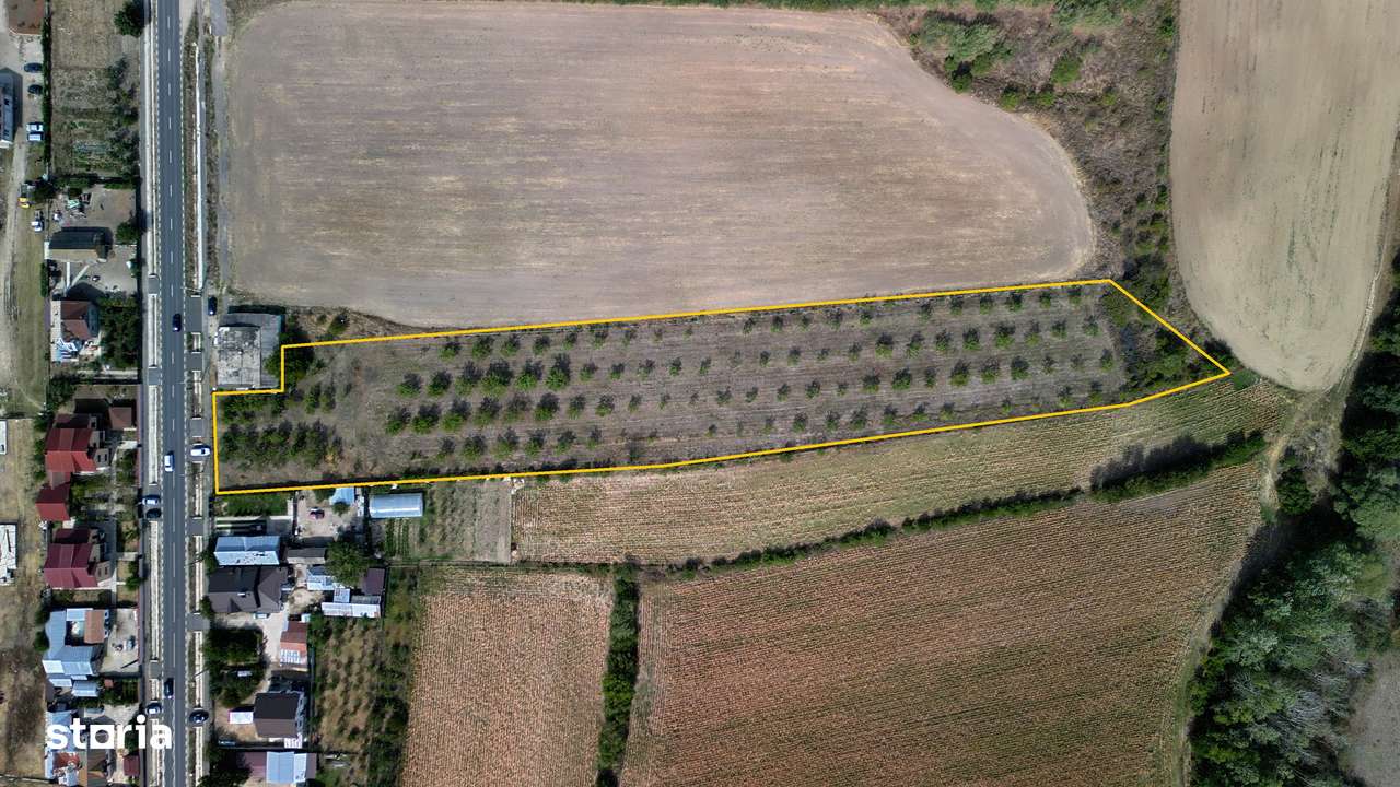 Vanzare teren 9654 mp, deschidere 27m, comuna Dobra, sat Dobra - Imagine principală: 4/8