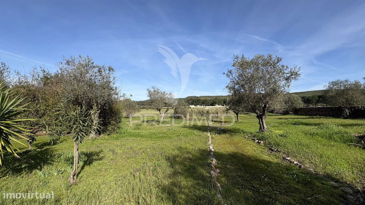 Quinta Rústica para Venda em Montalvo – 12 Hectares de Oportunidade - Grande imagem: 5/24