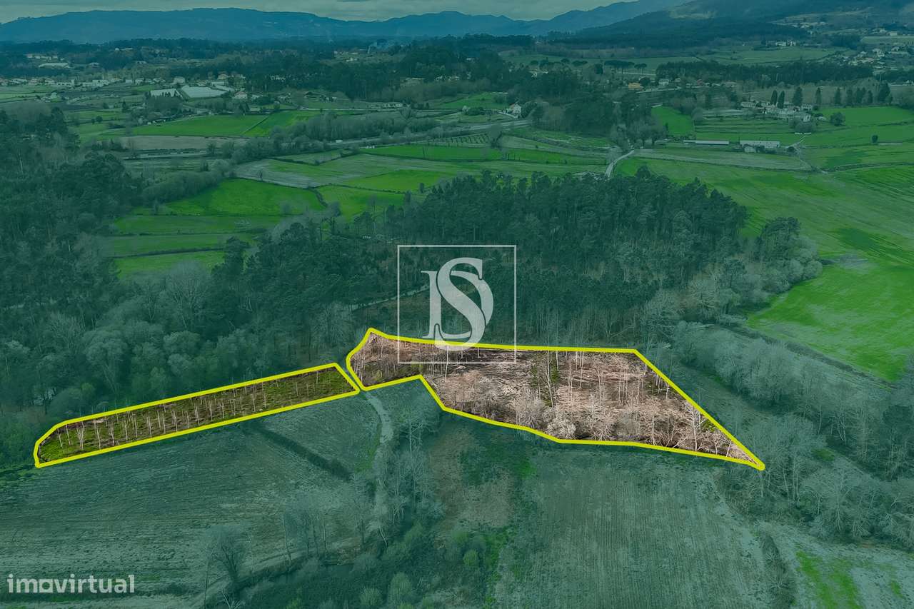 Terreno Rústico  Venda em Associação de freguesias do Vale do Neiva,Po-18