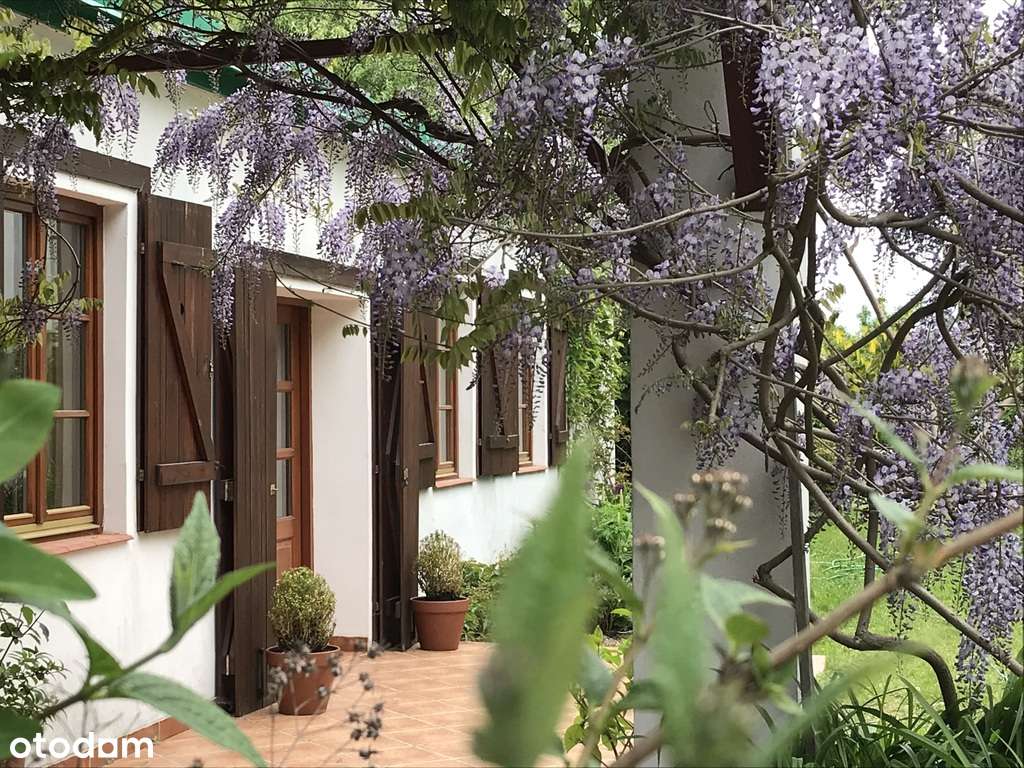 Duża zabudowana działka w Nosach-Poniatkach-14