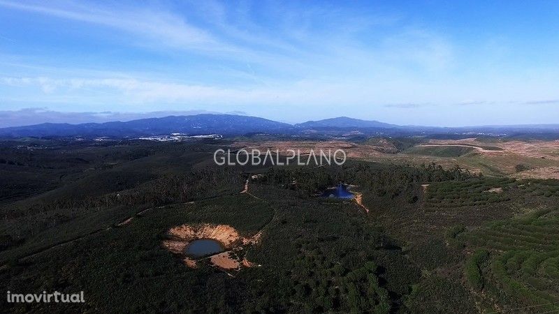 Lote de terreno com 50000m2 Almarjões Mexilhoeira Grande Portimão