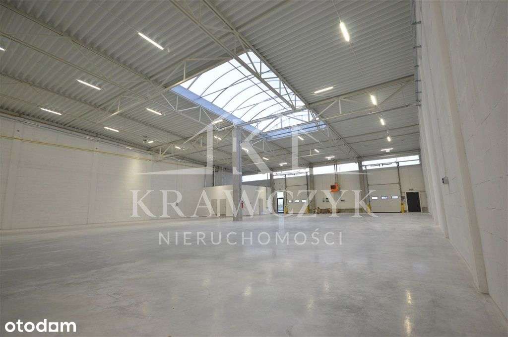 Na wynajem lokal magazynowy w Dąbiu - Pełny obrazek: 4/10