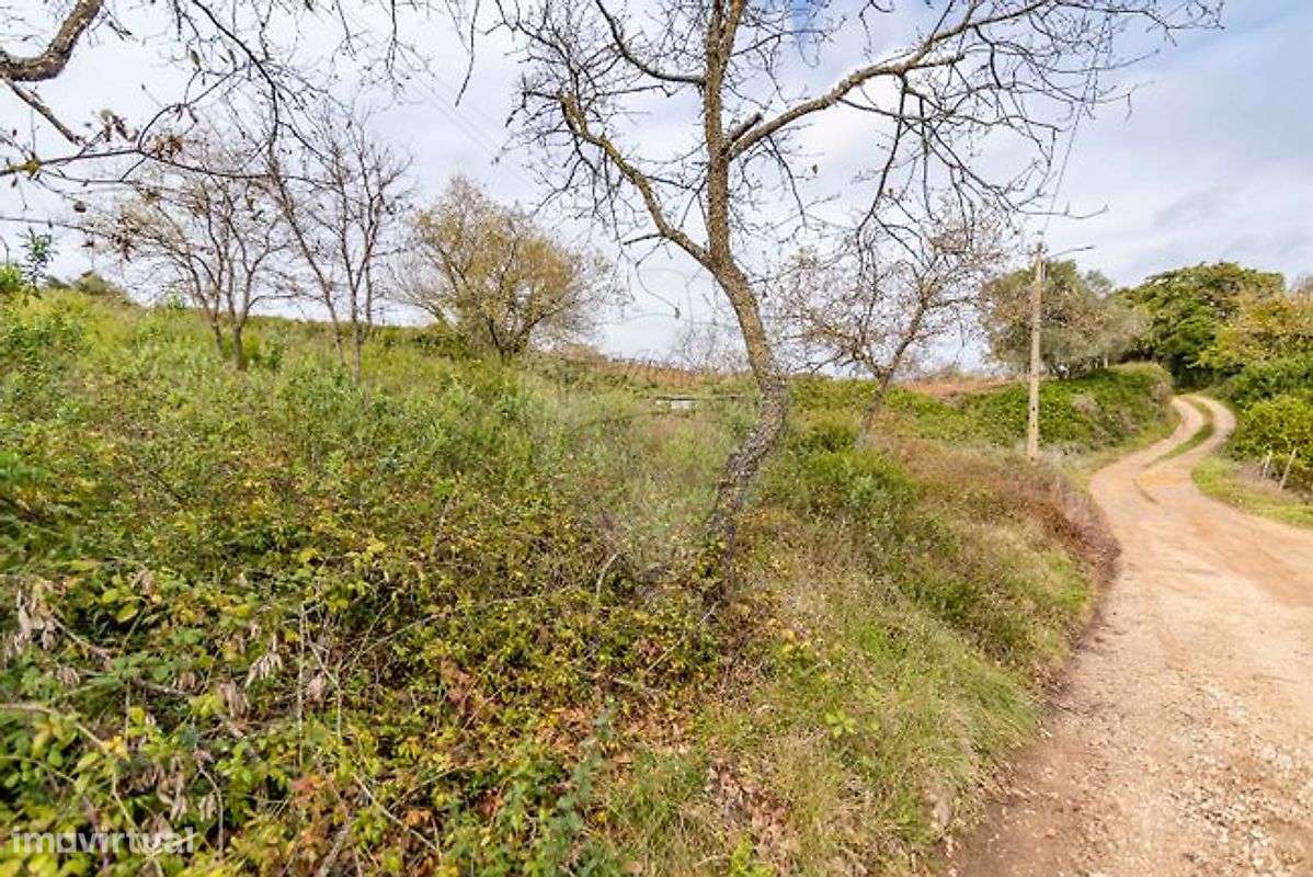 Terreno  para venda-11