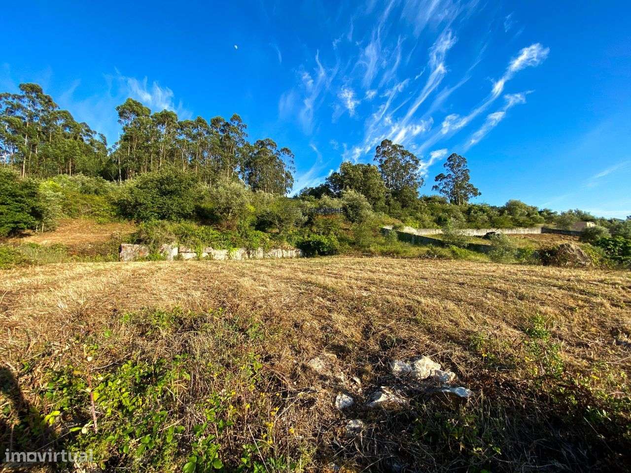 Terreno Rústico Viabilidade de Construção, Carvalhinho, Porto de Mós - Grande imagem: 4/22