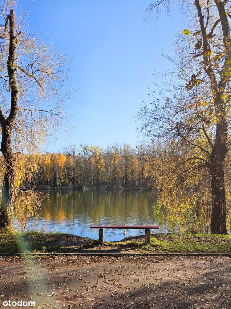 2 poziomy, po remoncie, umeblowane, Żabie doły-4