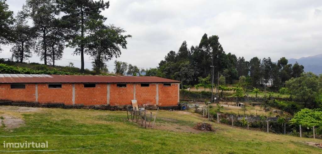 Terreno c/ Pavilhão Agrícola - Louredo - Grande imagem: 4/8