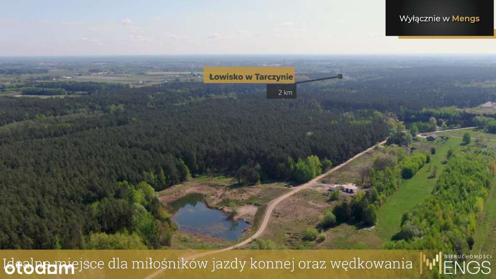 Twój azyl od zgiełku miasta - działka ze stawem - Pełny obrazek: 4/12