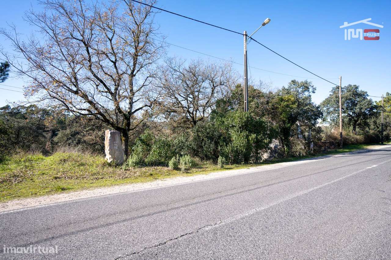 TERRENO COM 6822 m² NA AMOREIRA (5 m FÁTIMA) - Grande imagem: 3/22