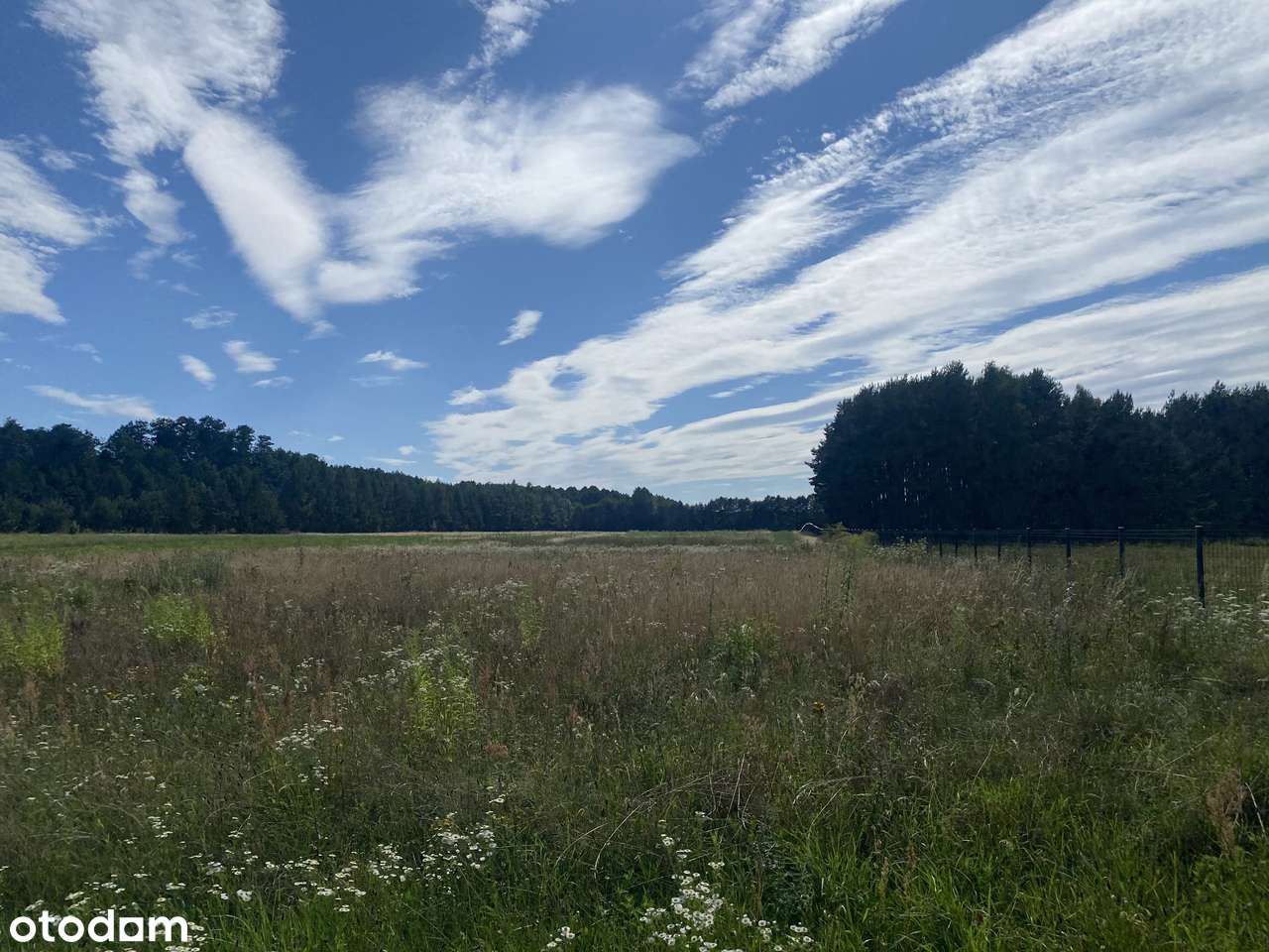 Uzbrojona działka budowlana 1831mkw Rydzyny - Pełny obrazek: 4/4