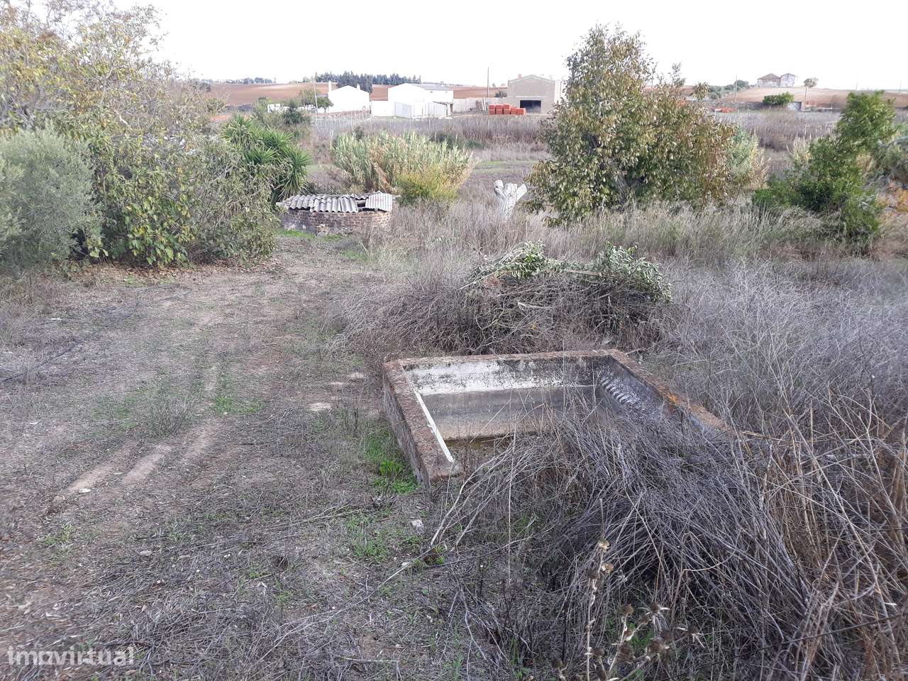 Quinta  em Beringel-44