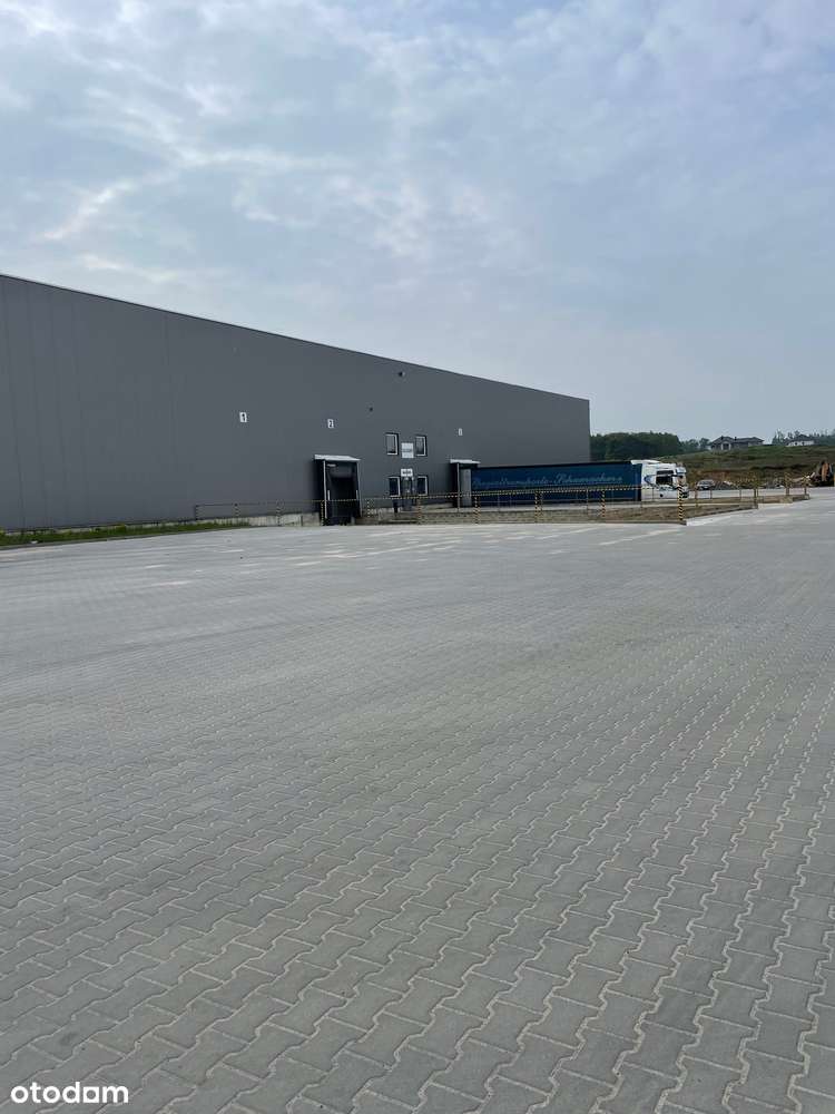 Hala magazynowo produkcyjna Bytom Odrzański - Pełny obrazek: 5/5
