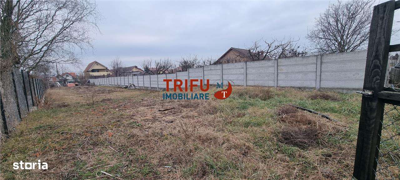 Teren de vanzare 600 mp Alba Micesti cu utilitati - Imagine principală: 2/3