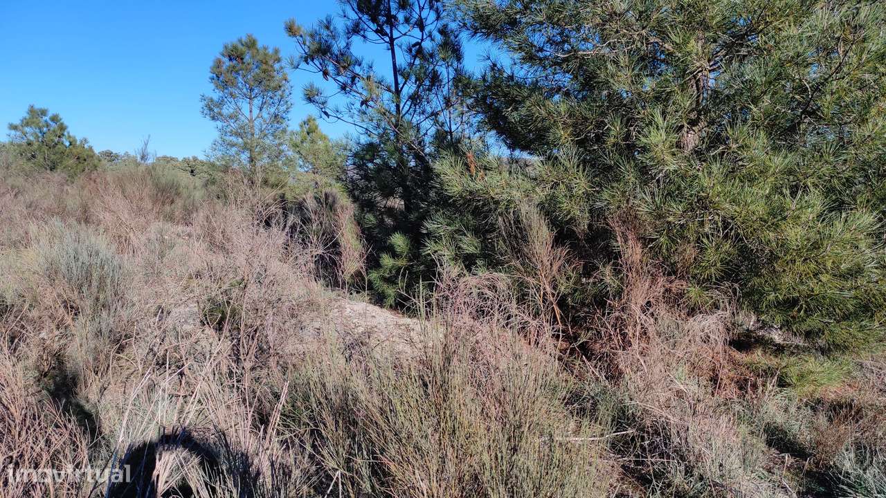 Quinta com vista deslumbrante para a Serra da Estrela 17500€-10