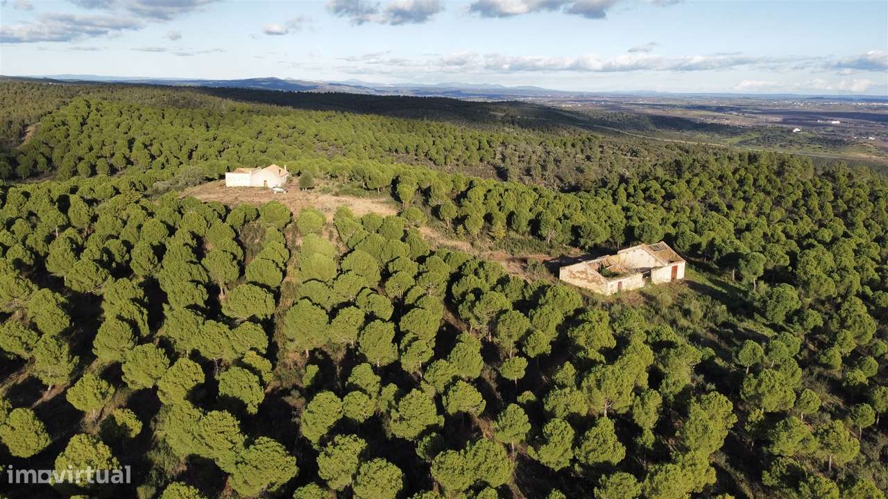 Herdade T5 Venda em Escalos de Baixo e Mata,Castelo Branco - Grande imagem: 4/31