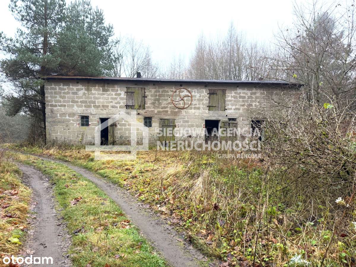 Okazja! ponad 5 ha w Brodnicy Górnej - 25 zł/m2 - Pełny obrazek: 4/8