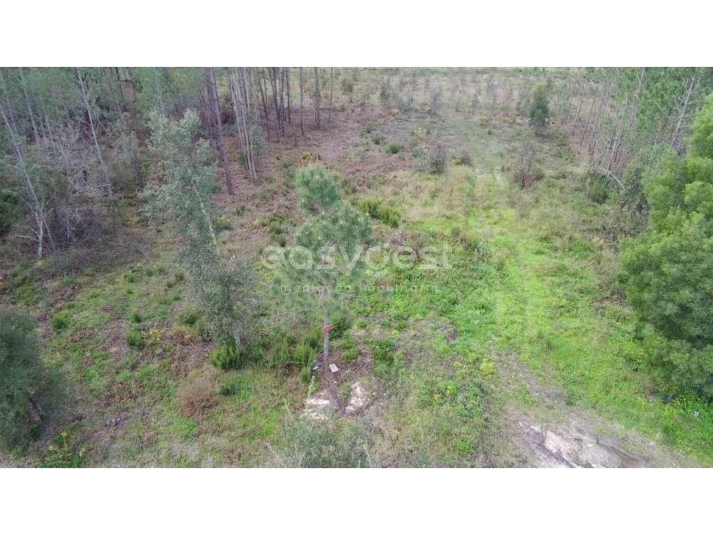 Terreno com 2120 m² para Construção Industrial na Martingança - Grande imagem: 5/16