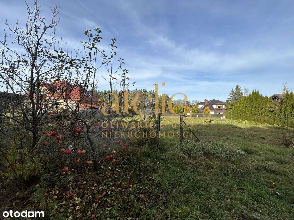 Prywatność i cisza - działka w Tuchomiu - Pełny obrazek: 5/7