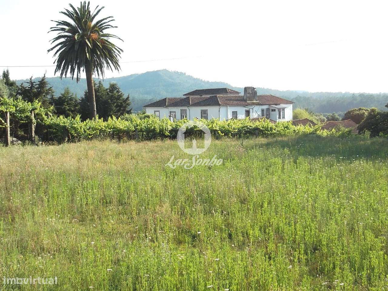 Quinta Seculo Xix Com Vinhas E Bosque Em Castelo De Neiva Viana Do