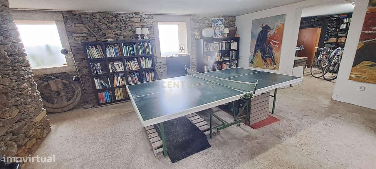 Charmosa Quinta em Castelo de Paiva-22