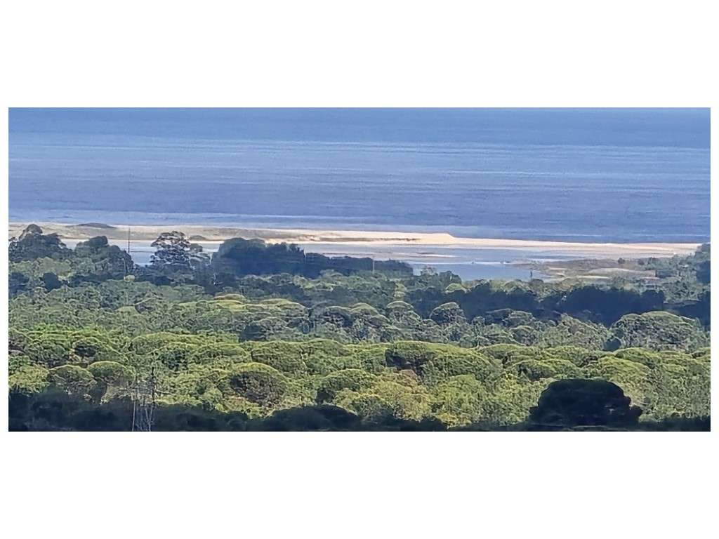 QUINTA (Vista Mar) - Grande imagem: 2/14