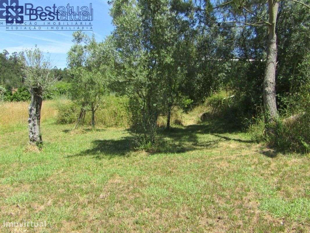 Terreno 4000 m2-c/1500 m2 de área p/construção Moradias-A 3 Min. do-26