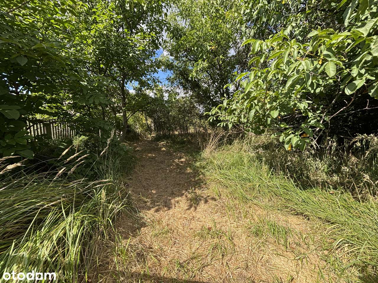 Dom z potencjałem w dobrej lokalizacji-9