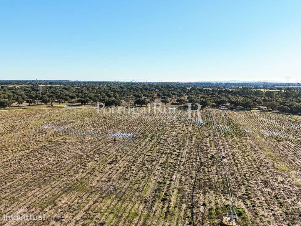 Herdade de 60 hectares para criação bovina e equina perto de Lisboa-14