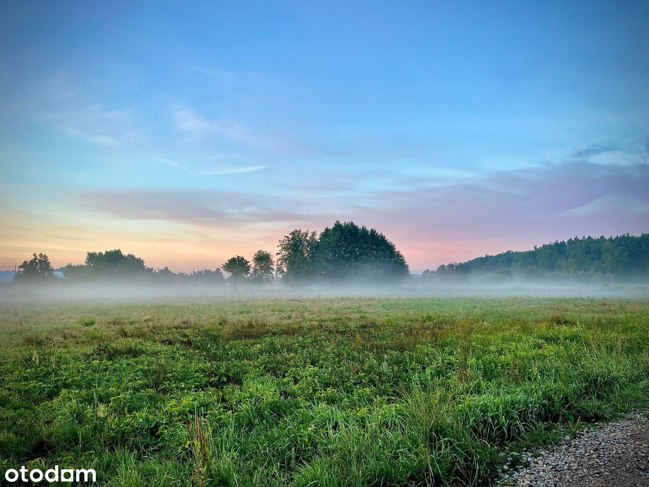 BEZPOŚREDNIO Działka 1425m2 Książenice ul. Laurowa