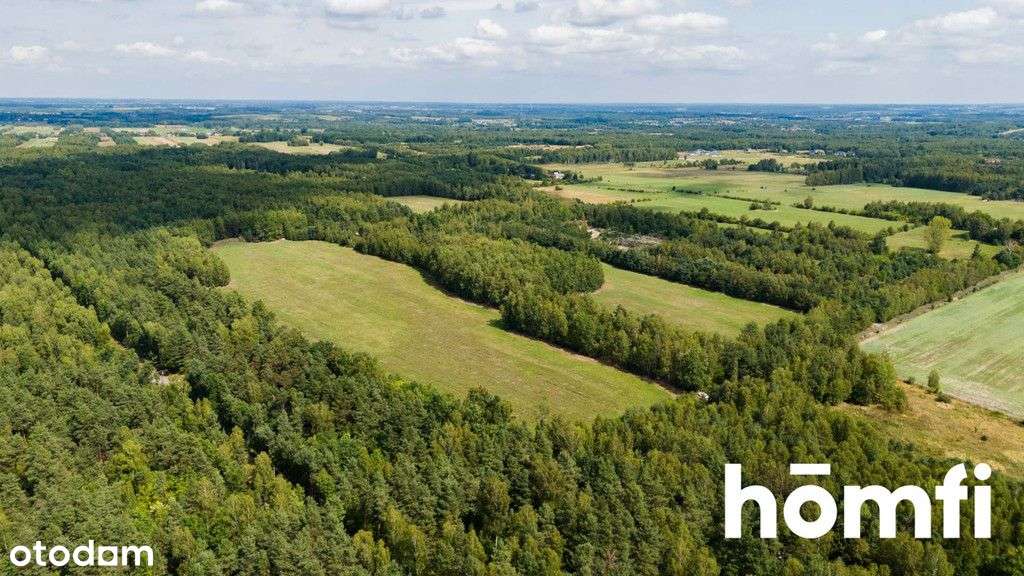 Działki z przeznaczeniem komercyjno-inwestycyjnym - Pełny obrazek: 5/20