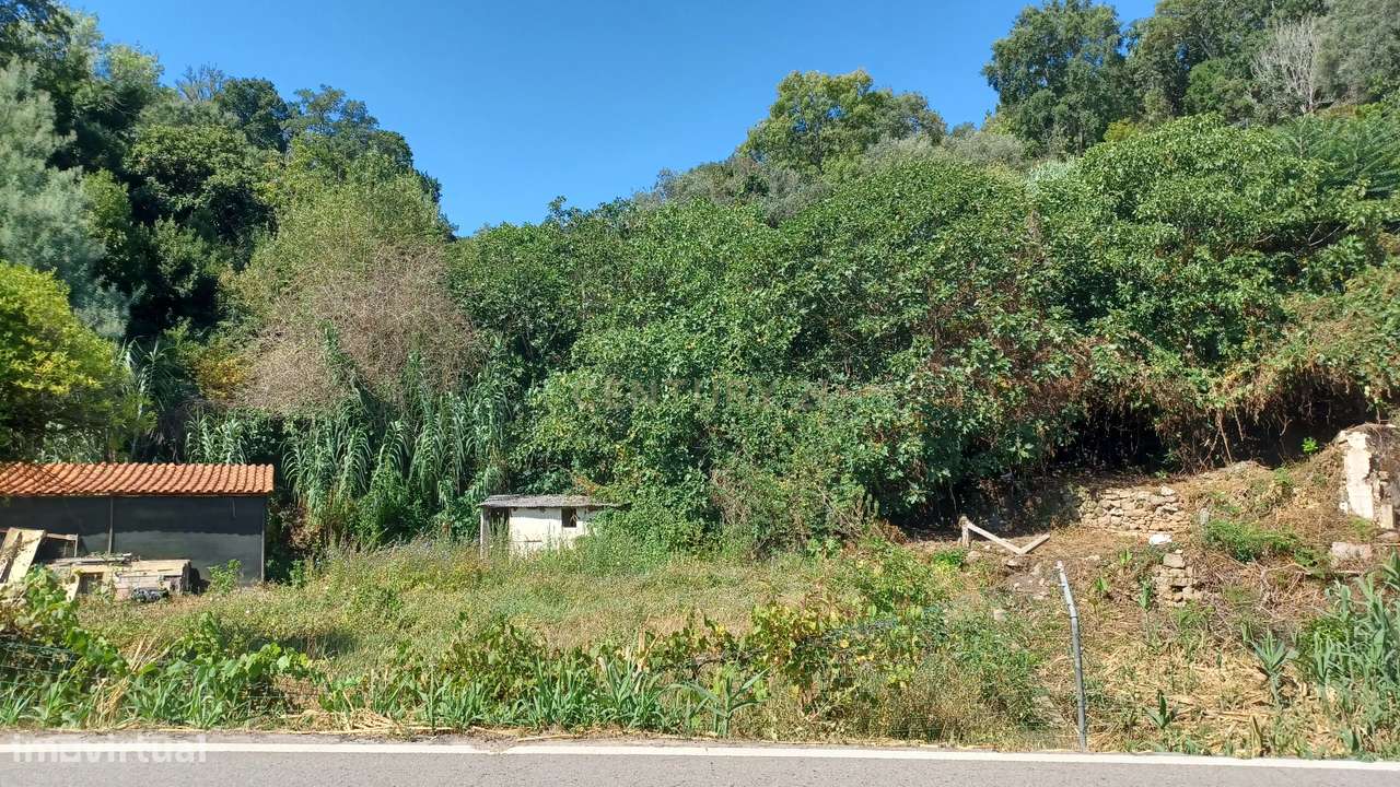 Vendo Quinta em Coimbra-29