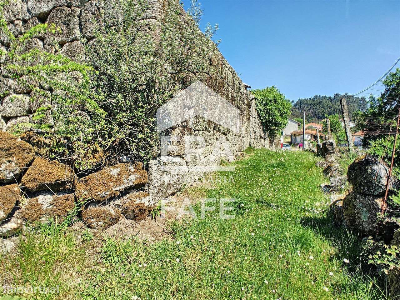 Moradia em pedra em Arnozela, Fafe - Grande imagem: 4/16