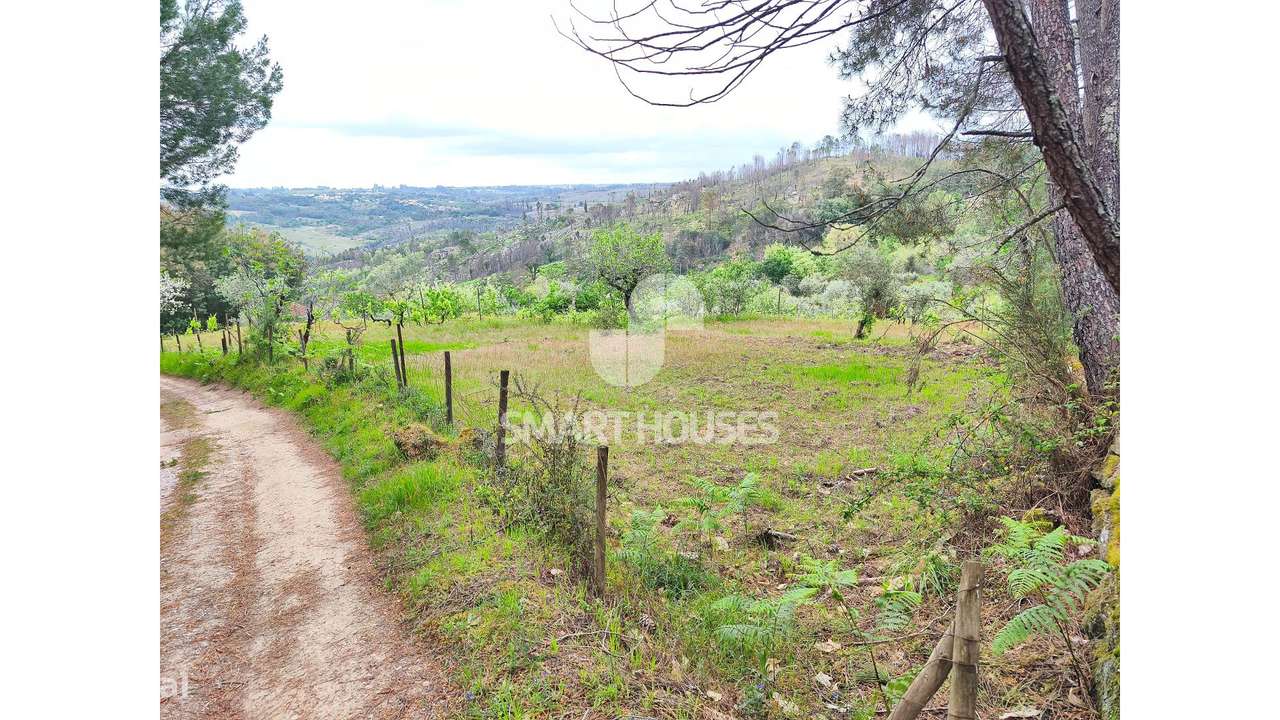 Quintinha em Vila do Mato-11