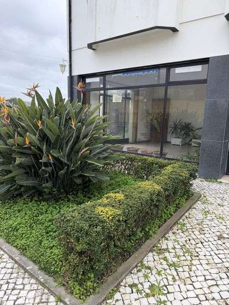 Loja para arrendar - Grande imagem: 5/12