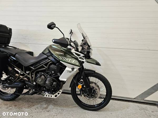 Triumph Tiger - 20