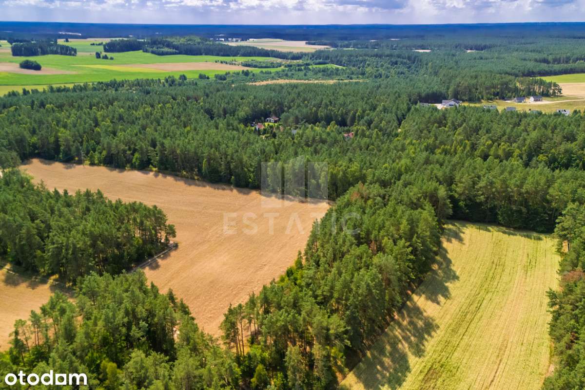 Kompleks 14 działek budowlanych w Niesiołowicach - Pełny obrazek: 4/6