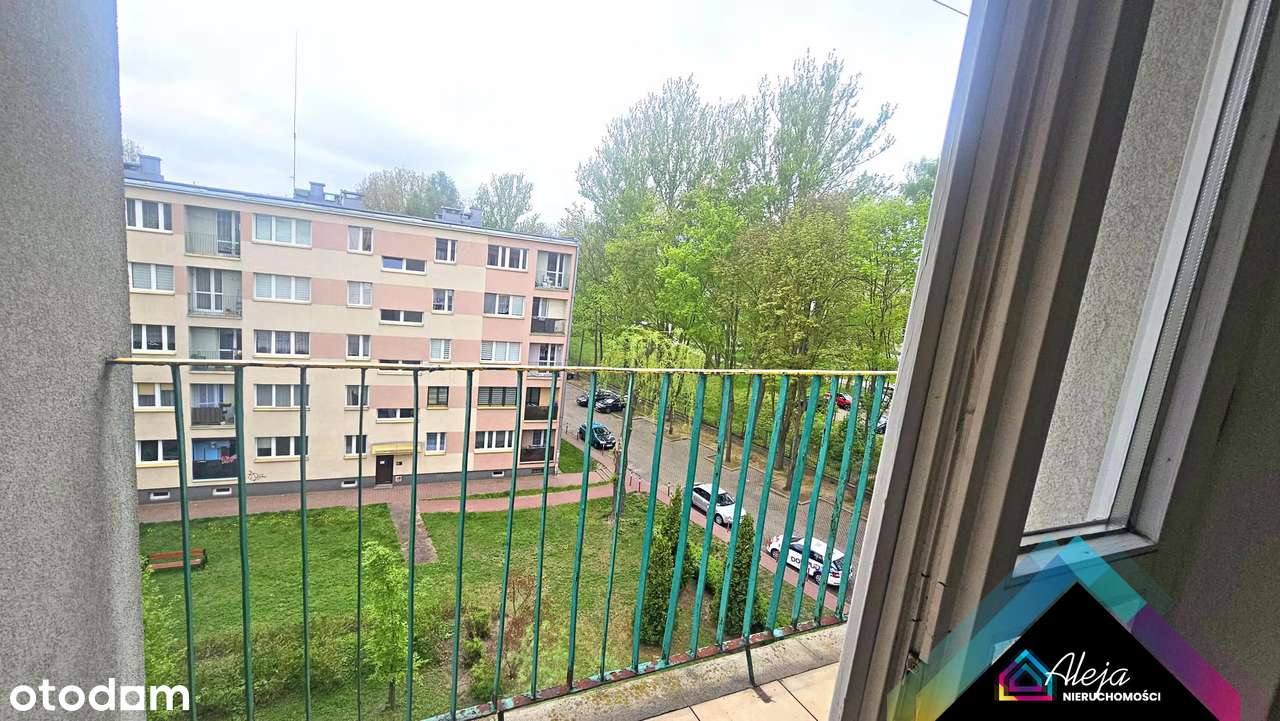 2 pokoje ul.Broniewskiego.1000 lecie - Pełny obrazek: 5/13