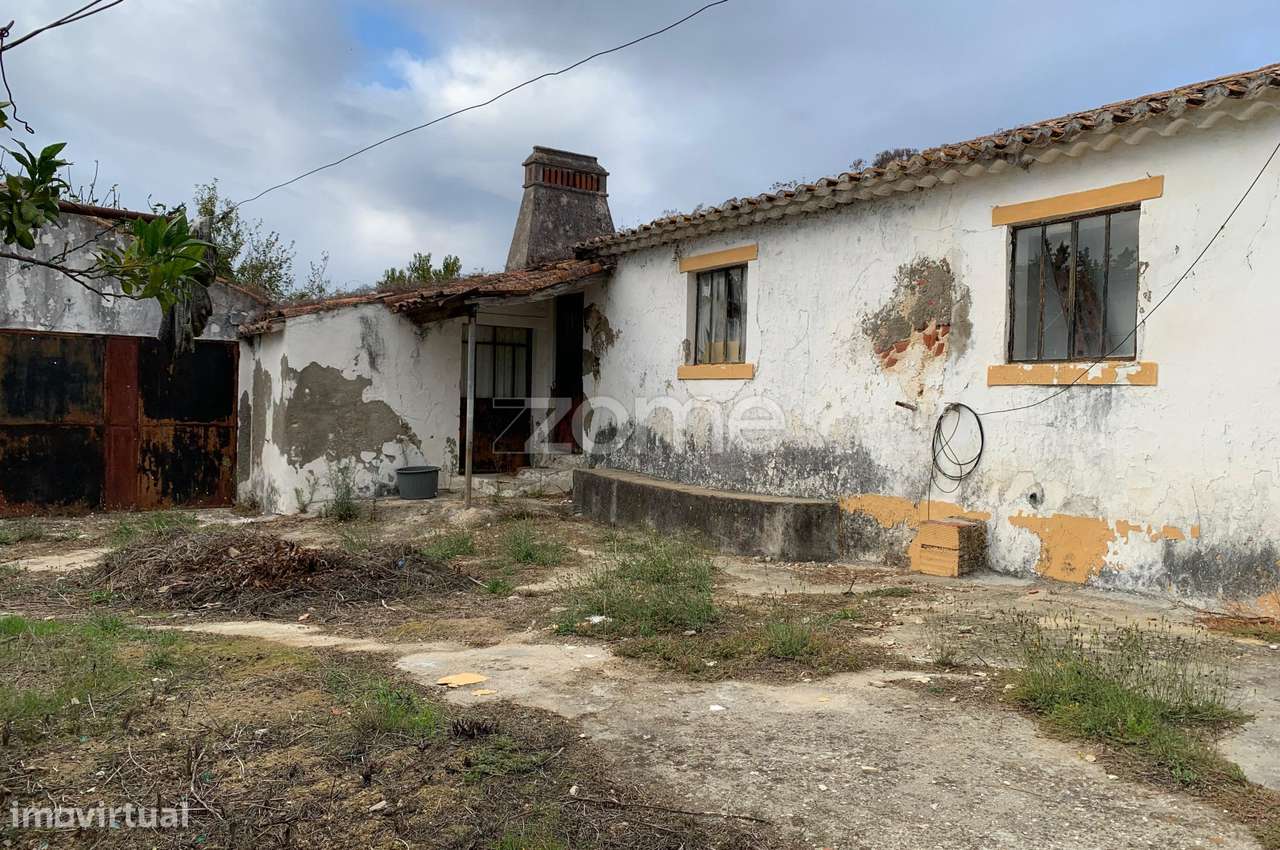 Quinta com Potencial em Santarém - Grande imagem: 5/48