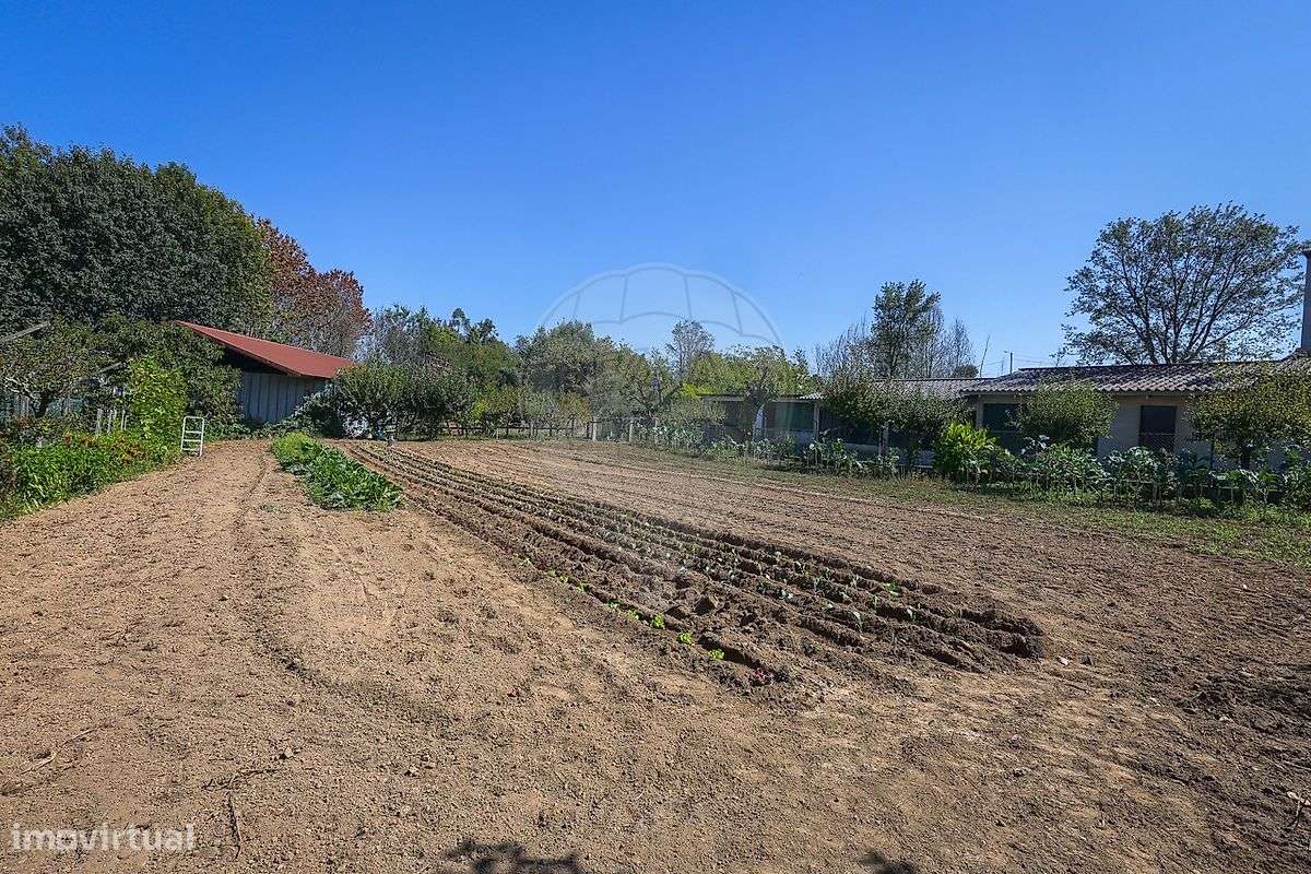 Moradia T3 | Anexo T1 | 628m2 | Lote 2140m2 | 10 min Centro Águeda-44